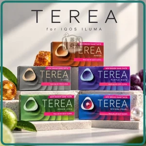 韓版 TEREA 煙彈 15種口味 IQOS ILUMA 專用 韓國原裝進口